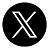 X Icon